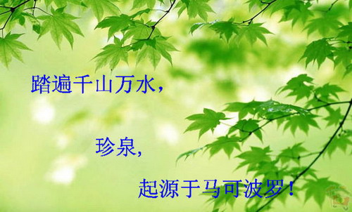 马可波罗净水器宣传图